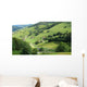 Valley Black Forest Wall Decal