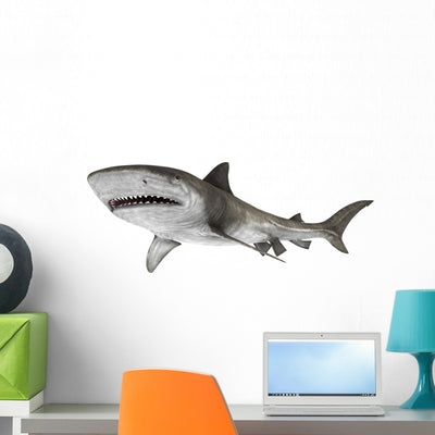 Shark 7 shown on a wall