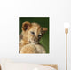 Lion Cub