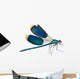 Dragonfly isolated on white Wall Decal