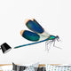 Dragonfly isolated on white Wall Decal