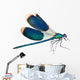 Dragonfly isolated on white Wall Decal