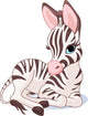 Cute Zebra Foal Wall Decal