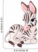 Cute Zebra Foal Wall Decal