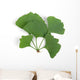 ginkgo leaf Wall Decal