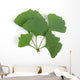 ginkgo leaf Wall Decal