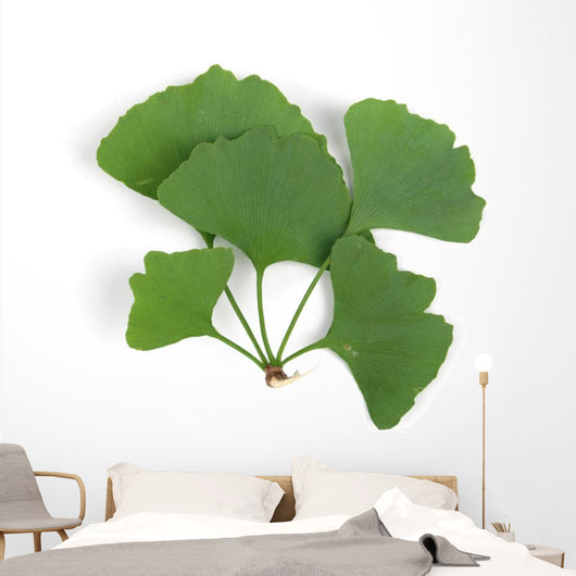 ginkgo leaf Wall Decal