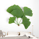 ginkgo leaf Wall Decal