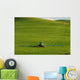 Farm Tractor, Palouse Wall Mural