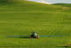 Farm Tractor, Palouse Wall Mural