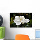 Flower Murals - Magnolia Wall Mural