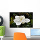 Flower Murals - Magnolia Wall Mural