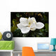 Flower Murals - Magnolia Wall Mural