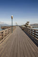 San Francisco Pier Looking Wall Decal