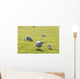 Sheep Wall Mural