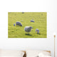 Sheep Wall Mural