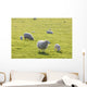 Sheep Wall Mural