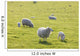Sheep Wall Mural
