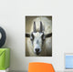A Friendly Goat Greets Children At Bandon's Petting Zoo Wall Mural