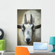 A Friendly Goat Greets Children At Bandon's Petting Zoo Wall Mural