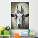 A Friendly Goat Greets Children At Bandon's Petting Zoo Wall Mural
