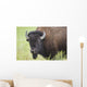 Bison, Grasslands National Park Wall Mural