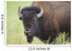 Bison, Grasslands National Park Wall Mural
