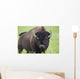 Bison, Grasslands National Park Wall Mural