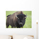 Bison, Grasslands National Park Wall Mural