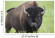 Bison, Grasslands National Park Wall Mural