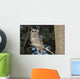 Spotted Wood Owl in an old growth redwood forest Wall Mural