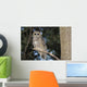Spotted Wood Owl in an old growth redwood forest Wall Mural