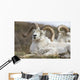 Bighorn Sheep in Denali National Park Wall Mural