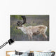 A deer in Denali National Park Wall Mural