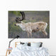 A deer in Denali National Park Wall Mural
