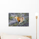 A fox in Denali National Park Wall Mural