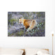 A fox in Denali National Park Wall Mural
