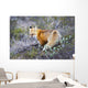 A fox in Denali National Park Wall Mural