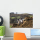 Two sheep standing together looking at the camera Wall Mural