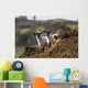 Two sheep standing together looking at the camera Wall Mural