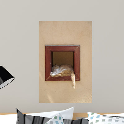 Cat Window Wall Mural shown on a wall