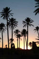 Coucher Soleil Figuig Wall Decal