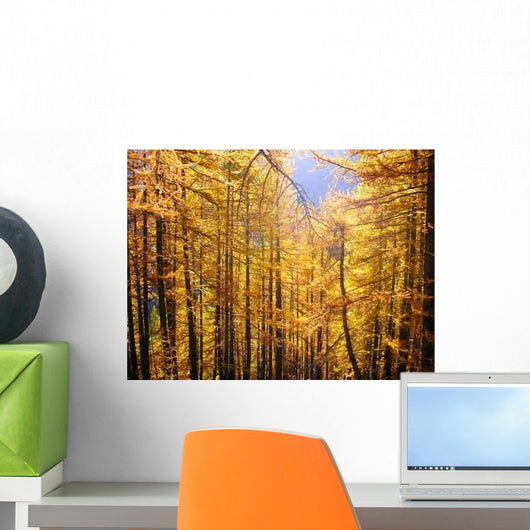 Larch Forest Wall Decal