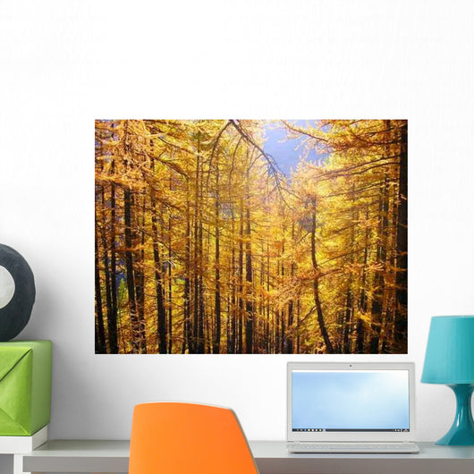 Larch Forest Wall Decal