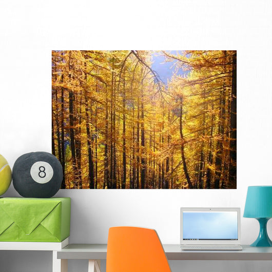 Larch Forest Wall Decal