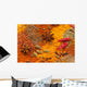 Spices