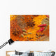 Spices