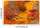 Spices