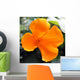 Amapola California-eschscholzia Californica Wall Decal
