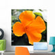Amapola California-eschscholzia Californica Wall Decal